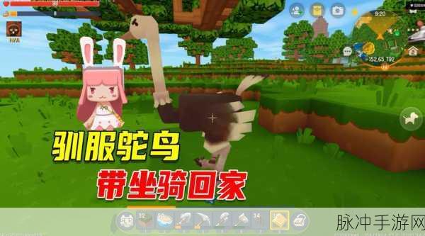 迷你世界鸵鸟驯服秘籍，成为骑乘高手