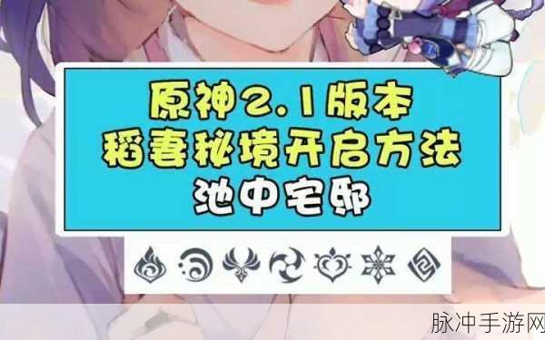 原神稻妻池中宅邸的神秘开启之道