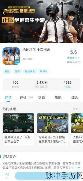 绝地求生全军出击，大桥攻防战的致胜秘诀与实战技巧深度解析