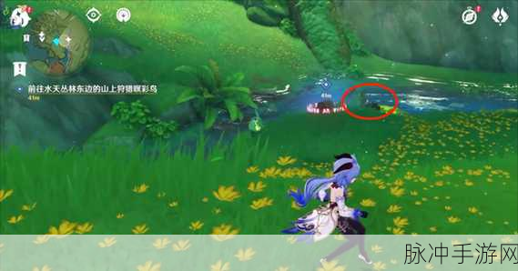 原神，珍惜之鸟飞走后的应对策略全解析