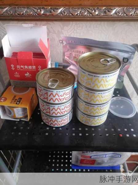 最强蜗牛猫罐头，用途详解与明智购买指南