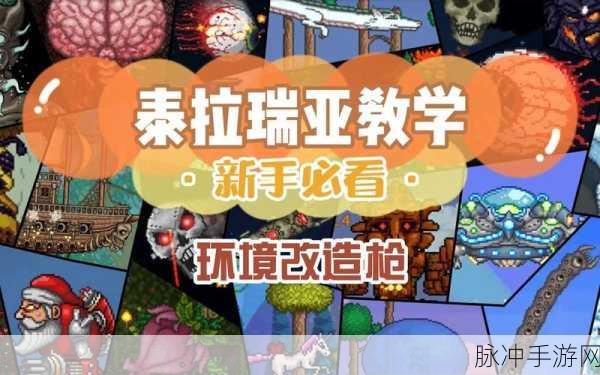 泰拉瑞亚环境改造枪溶液全攻略