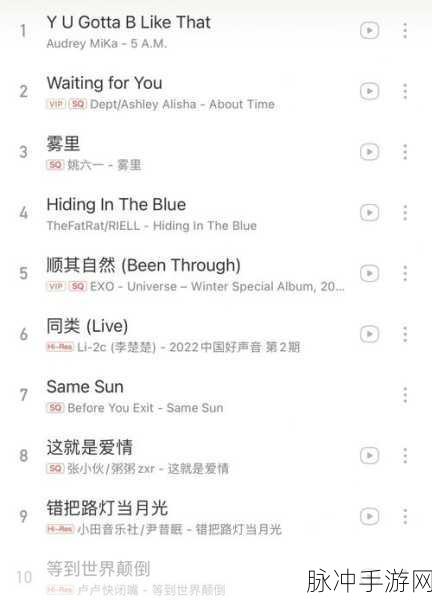 网易云音乐歌曲分享秘籍，手游中的音乐盛宴