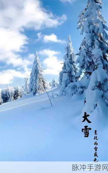 澳大利亚雪景奇遇，手游探索中的冰雪奇缘与气候揭秘