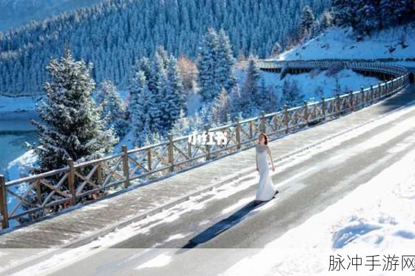 澳大利亚雪景奇遇，手游探索中的冰雪奇缘与气候揭秘