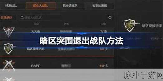 暗区突围退出战队方法攻略，轻松告别战队的全面步骤解析