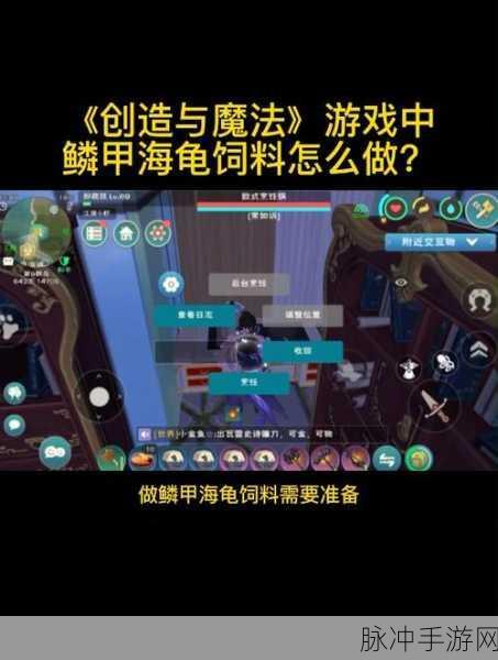 创造与魔法，鳞甲海龟饲料配方大揭秘