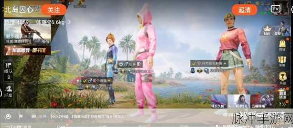 和平精英双人玩法秘籍，提升吃鸡成功率指南