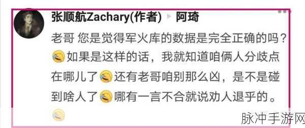 和平精英双人玩法秘籍，提升吃鸡成功率指南