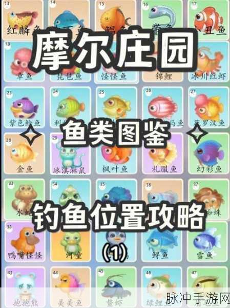 摩尔庄园手游贝琪位置全解析，探险家的足迹与礼物喜好