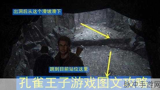 樱花校园奇遇记，探寻神秘王子的踪迹全攻略