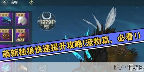 妄想山海武器石头完美搭配及灵蕴精选指南