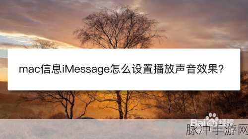 iMessage在手游攻略分享中的妙用，提升玩家互动与体验