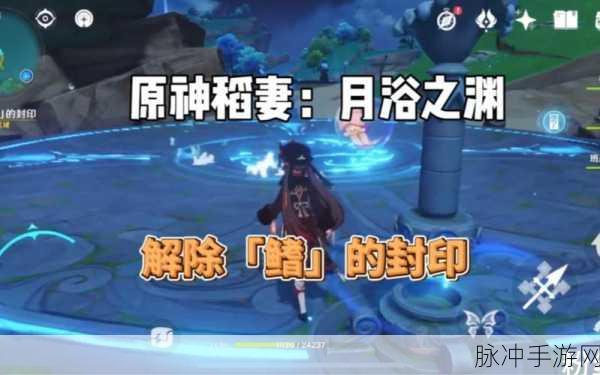 原神海祇之鳍解谜攻略，全面解析与挑战技巧分享