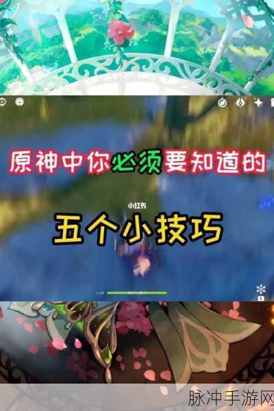 原神危危岛解密技巧全面分享，解锁危危岛的秘密