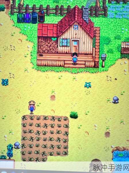 星露谷物语新手攻略，解锁金星作物种植与新篇章探索