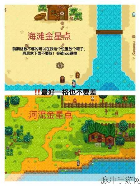 星露谷物语新手攻略，解锁金星作物种植与新篇章探索