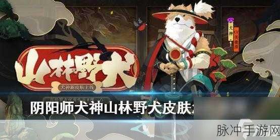 阴阳师犬神皮肤全攻略，解锁多样风采，彰显式神魅力