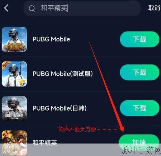 和平精英快速升级攻略，助你轻松突破30级
