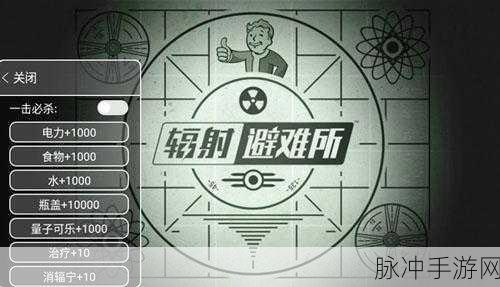 辐射避难所深度攻略，打造末日乐园的完美指南