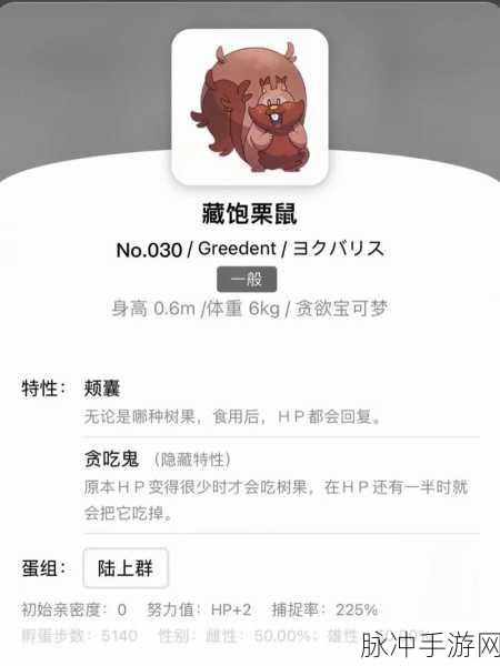 宝可梦大集结，藏饱栗鼠超强搭配秘籍
