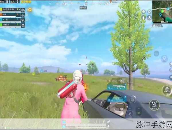 和平精英新手全面进阶攻略，从零开始的吃鸡之路