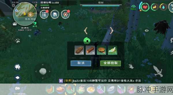 创造与魔法，全面解析顽皮蝾螈饲料喂养指南