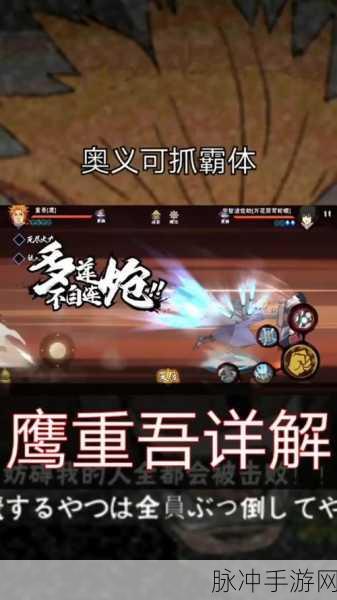 火影忍者手游鹰重吾玩法深度解析