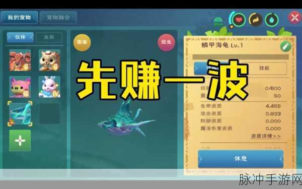 创造与魔法，鳞甲海龟饲料配方全解析