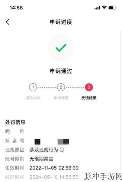 原神账号封禁解封全指南，方法、申诉流程与细节解析