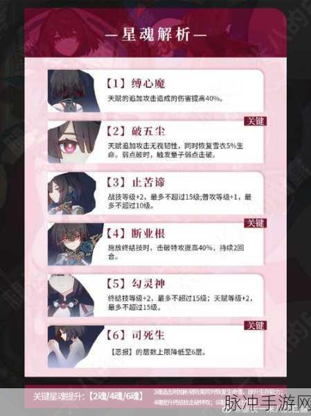 崩坏星穹铁道，雪衣配队秘籍大公开