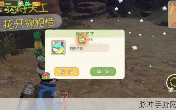 小森生活彩虹羊驼刷新时间与位置全解析