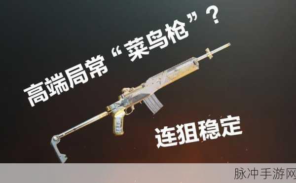 绝地求生刺激战场狙击枪Mini14使用攻略，深度解析Mini14配件选择