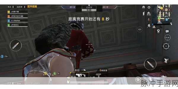 和平精英中血色贵族裤子拆分之谜