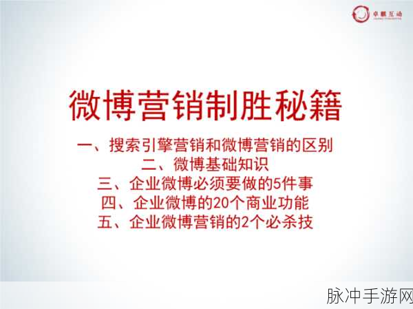 手游战场的致胜秘籍，深度解析策略与技巧
