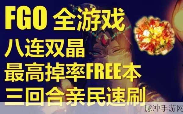 FGO连双晶战攻略详解，敌人配置分析及英灵推荐指南