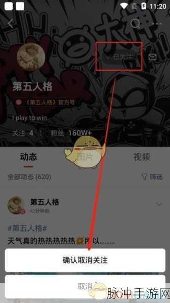 手游社交关系的调整策略，解除好友与关注人的深度解析