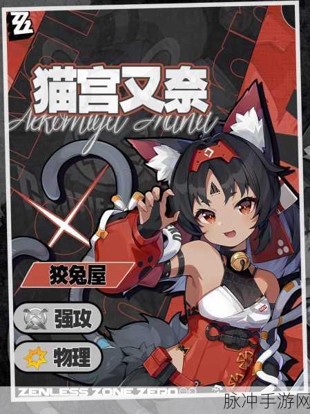 绝区零猫又驱动盘攻略，解锁战斗效率的秘密武器