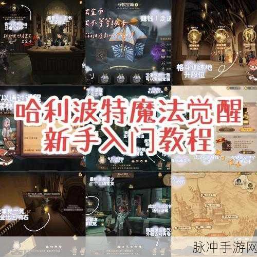 哈利波特魔法觉醒,禁林救援任务抢夺全攻略