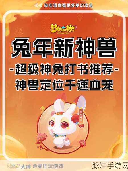 梦幻西游手游超级神兔技能加点攻略深度解析