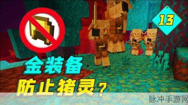 我的世界手游攻略，揭秘猪灵攻击玩家的深层原因