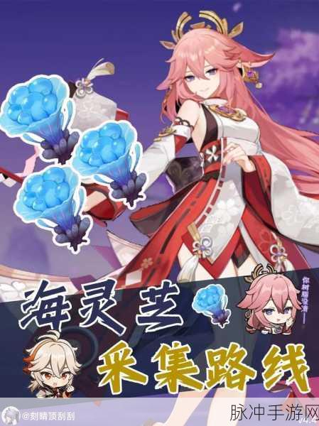原神探秘世界奇珍，海灵芝寻觅攻略大揭秘！