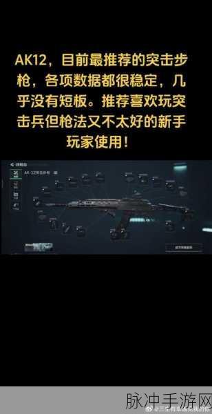 三角洲行动全面战场，武器选择建议与宠物技能升级攻略
