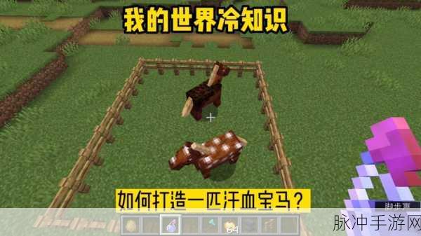 我的世界骑马时注意事项全攻略