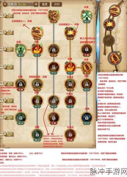 航海王燃烧意志新世界弗兰奇加点全攻略