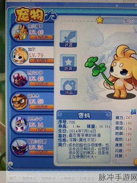 洛克王国手游，宠物获取全攻略指南