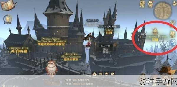 哈利波特魔法觉醒，林中深寒第一章详细过关攻略