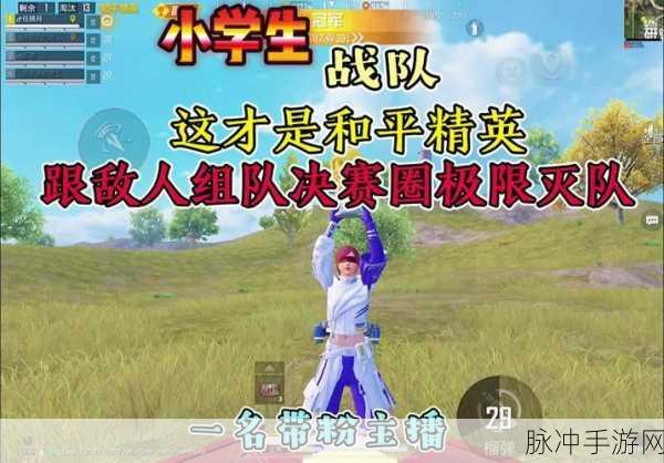 和平精英组队吃鸡，乐趣与技巧的完美融合