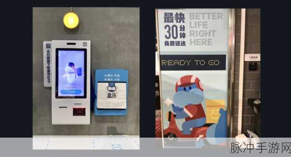 盒马鲜生手游兑换码使用全攻略，解锁专属福利，畅享购物乐趣
