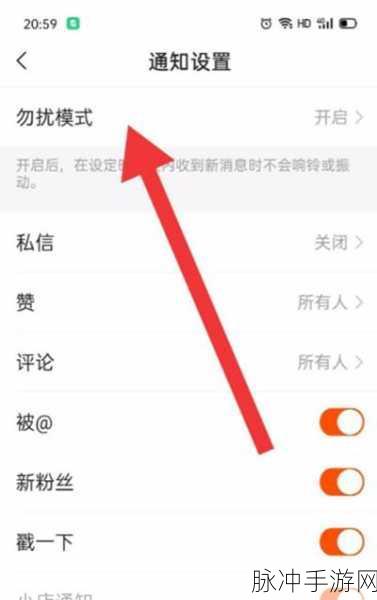 快手极速版视频无法播放之谜与手游攻略